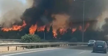 İzmir Buca’da orman yangını