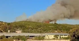 İzmir'de orman yangını! Ekiplerin havadan ve karadan müdahalesi sürüyor