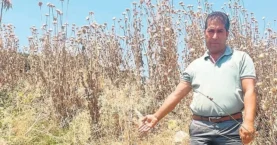 Su akar İZSU bakar