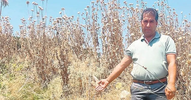 Su akar İZSU bakar