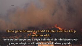 Sade Basit Teknoloji Yapay Zeka Kapak Youtube Küçük Resmi (1)
