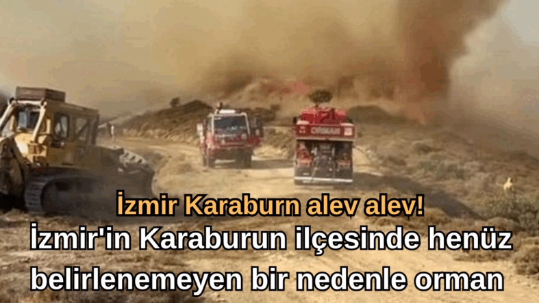 Sade Basit Teknoloji Yapay Zeka Kapak Youtube Küçük Resmi (3)