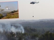 Adana'da orman yangını kontrol altında