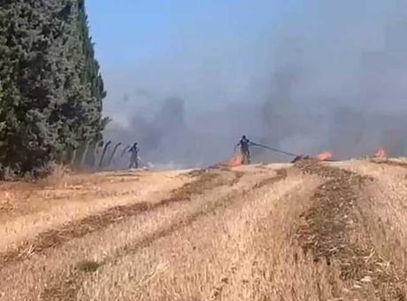 Bir kıvılcım yetti! Silivri'de alevler otluktan ormana sıçradı