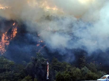 Bolu'daki orman yangını kontrol altına alındı
