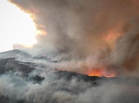 Çanakkale’de orman yangını 2