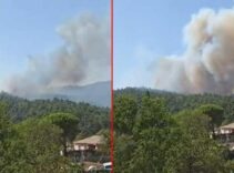 Çanakkale'de orman yangını! Havadan ve karadan müdahale başladı