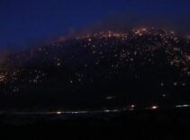 Denizli'de orman yangını! Alevlerle mücadele sürüyor