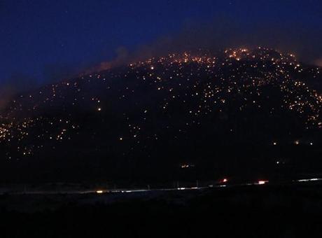 Denizli'de orman yangını! Alevlerle mücadele sürüyor