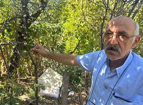Eskişehir'de şaşkına çeviren manzara: Ne yazık ki ekolojik denge bozuldu