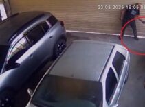 Esnafın köpeğini tabancayla öldürdü! O anlar saniye saniye kamerada