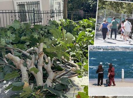 İstanbul'da fırtına etkisi! Zorunlu olmadıkça dışarıya çıkmayın: Ağaçlar devrildi, yaralılar var