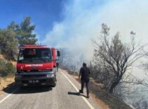 İzmir'in Seferihisar ilçesinde orman yangını kontrol altına alındı