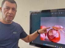 Karadeniz’den sonra bir kenti daha istila etti! ‘Bunların yok edilmesi gerekiyor’
