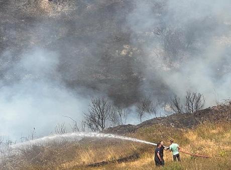Kocaeli'de otluk alanda yangın! Rüzgarın etkisiyle yayıldı