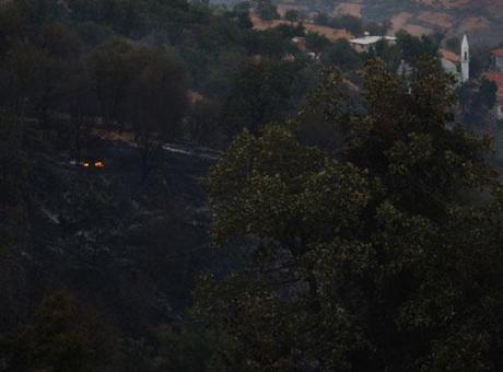 Malatya'daki orman yangını söndürüldü