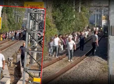 Marmaray'da beklenmedik olay! Hatta ağaç devrildi, yolcular demir yolunda yürüdü
