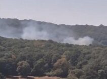 Sarıyer'de ormanlık alanda yangın