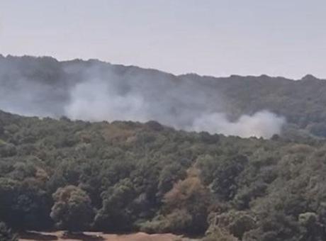 Sarıyer'de ormanlık alanda yangın