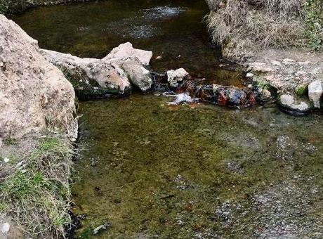 'Şifalı' denilen suya giren çift hayatını kaybetti