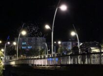 Sineklerin ‘ölüm dansı’ başladı! Her birinin sadece yarım saatlik ömrü var