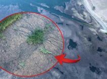 Tam 3 senedir kabusu yaşıyorlar! Köylüler şaşkın: 'Bir an önce çözüme kavuşsun'