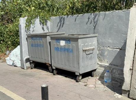 Doğurdu, öldürüp alışverişe gitti
