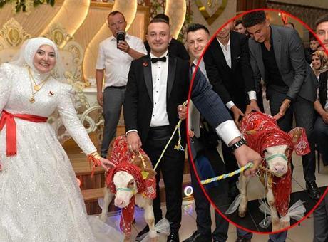 Gelin ve damat takı töreninde şaşkına döndü! ‘Değişiklik olsun diye hediye ettik’