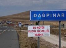 Kars'ta kuduz alarmı! Bir belde karantinaya alındı