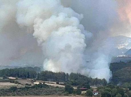 Osmaniye'de orman yangını! Müdahale başladı