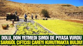 sarigolde-yas-uzum-piyasasi-duruldu-ureticiler-careyi-kurutmalikta-buldu