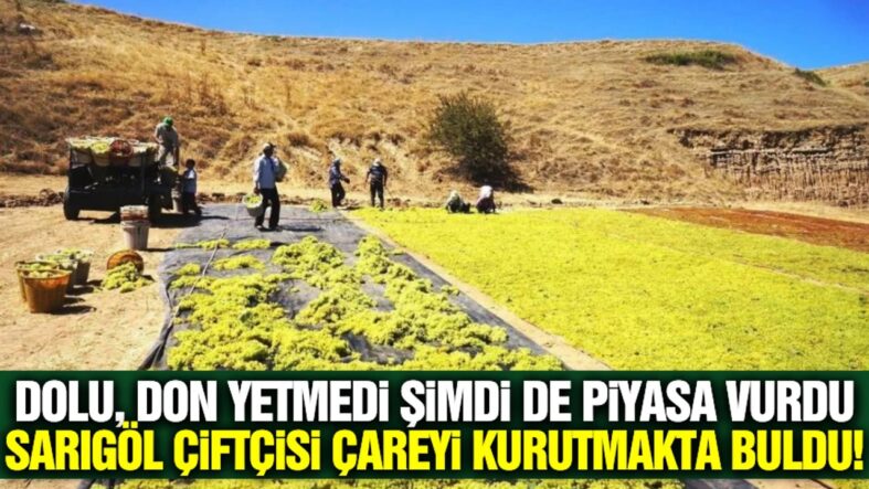 sarigolde-yas-uzum-piyasasi-duruldu-ureticiler-careyi-kurutmalikta-buldu