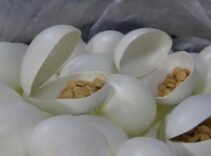 Sürpriz yumurtalardan çıkanlar şoke etti! 8 kişi adliyede