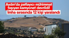 t-e-p-a-n-e-l-10256