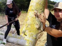 Türkiye’de bu işi yapan tek kadın! Kenti karış karış dolaşıyor: 'Yapamazsın' dediler, yaptım