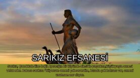 Design (1)