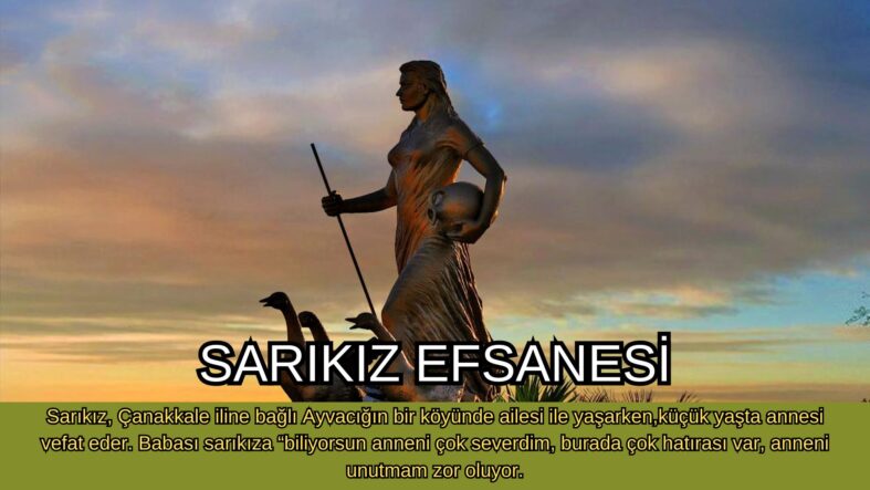Design (1)
