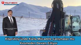BERGAMADA ADD DÜZENLEDİĞİ DÜNYA KADIN HAKLARI GÜNÜ GECESİ (6)