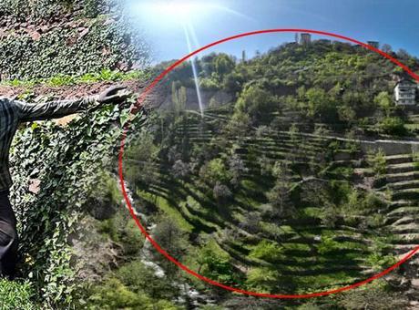 2 dönümle başladı, 8 dönüme ulaştı! Koydukları her taş servete dönüştü: ‘Hem kendimiz hem de ülke kazanır’