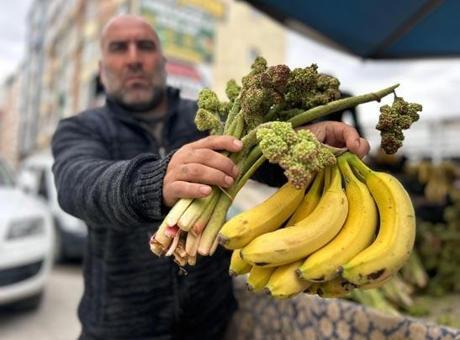 400 TL’ye kapış kapış satılıyor, senede bir sefer çıkıyor: Bildiğiniz her şeye şifa