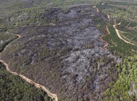 9 saatlik kabus: Beykoz’daki yangının bilançosu ağır oldu