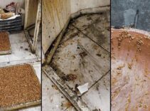 Hatay’da kötü kokunun geldiği evden kaçak lokum ve cezerye imalathanesi çıktı