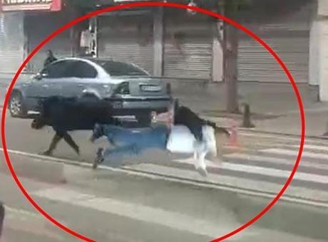 Kent merkezine inen domuz 3 kişiye saldırdı!