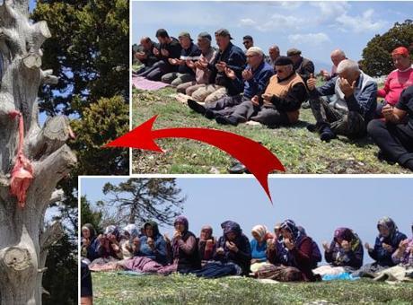 Dağın zirvesinde ilginç buluşma! Sebebi yüzyıllardır aynı: Ciğerleri ağaca asılır