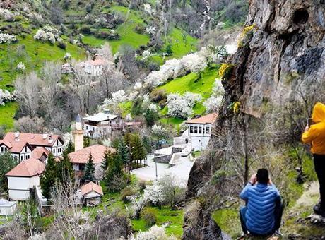 Gümüşhane'de taşı delip ortaya çıktı! Görüntülemek için koştular