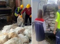 Her an sofranıza gelebilirdi! Tekirdağ'da durdurulan minibüsten 1,2 ton 'hastalıklı' sakatat çıktı