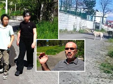 Köpeklerden kaçarken yaralanan arkadaşını kaderine terk etmedi! Küçük kahraman yaralı dostunu sırtında taşıdı