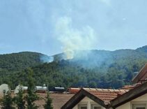Muğla'da orman yangını