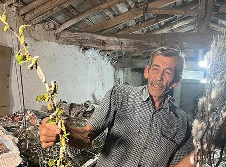 40 günde üretiyor, 216 bin lira kazanıyor: Bu kadar gelir veren bir iş daha yoktur