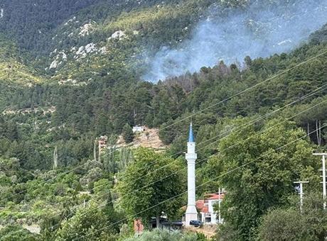 Antalya Kaş'ta orman yangını! Havadan ve karadan müdahaleyle kontrol altına alındı